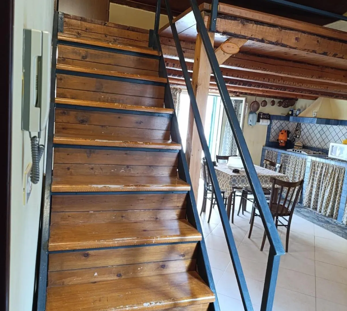 דירה פלרמו Maison Al-Aziz